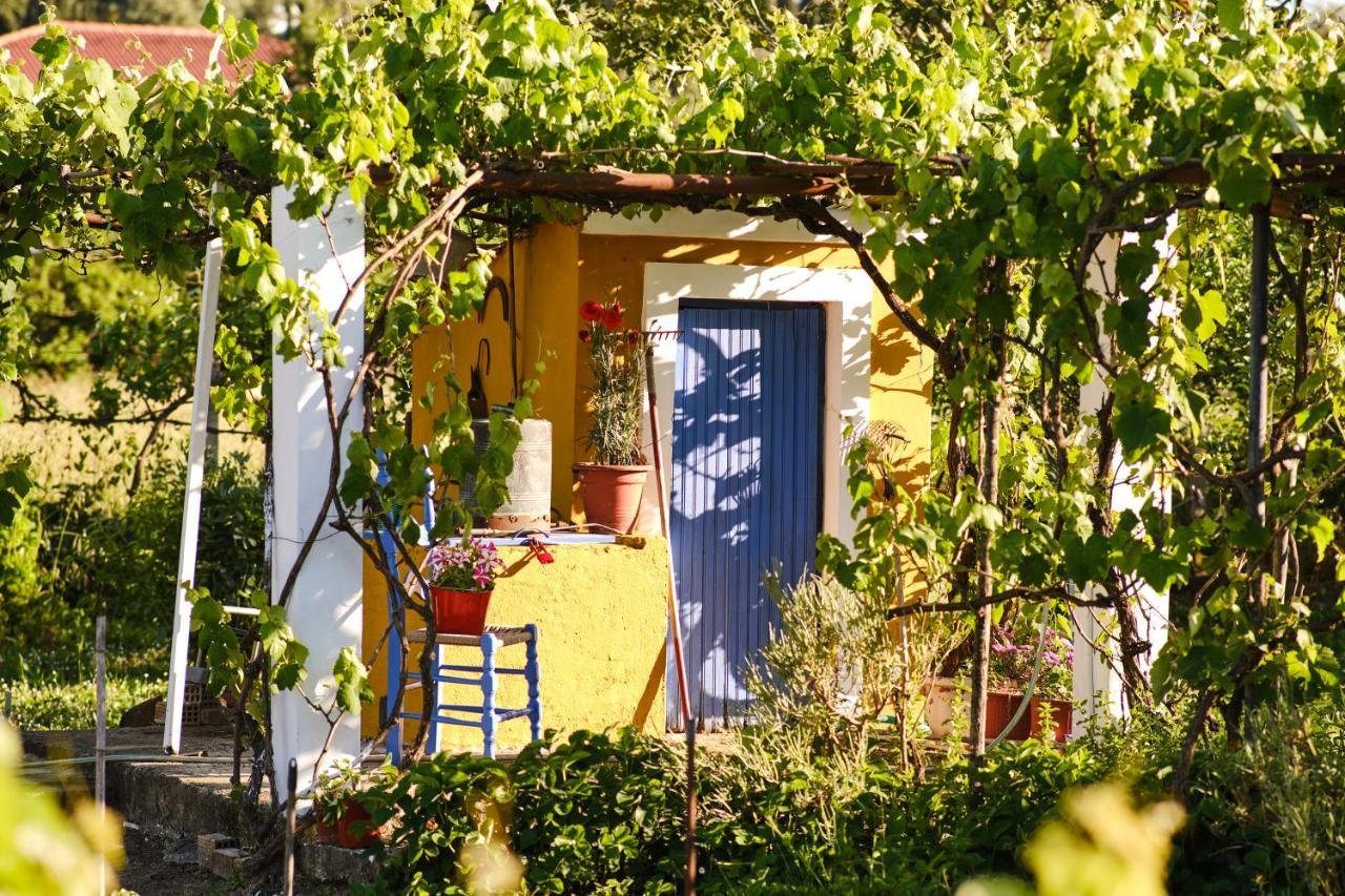 Villa Sandra Litheres 외부 사진