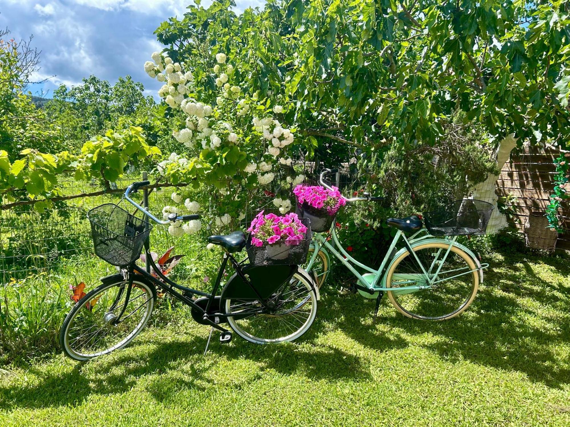 Villa Sandra Litheres 외부 사진